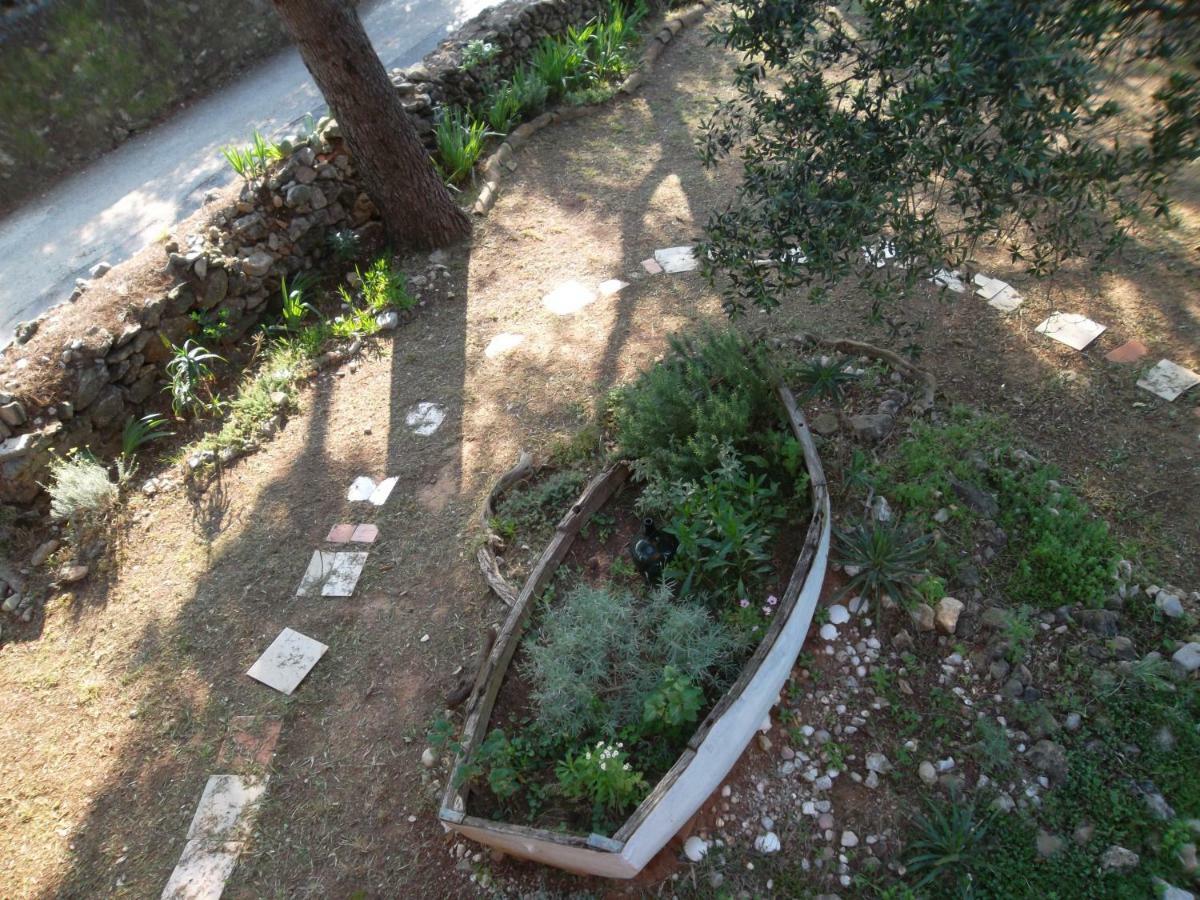 נזרין Hodak Apartment מראה חיצוני תמונה