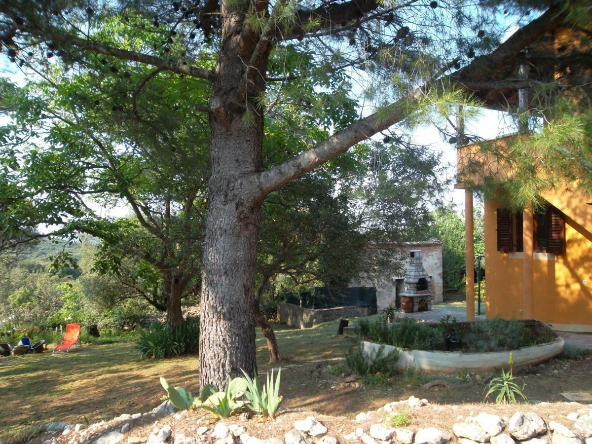 נזרין Hodak Apartment מראה חיצוני תמונה