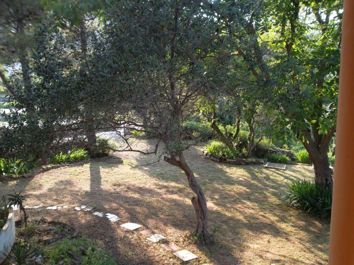 נזרין Hodak Apartment מראה חיצוני תמונה