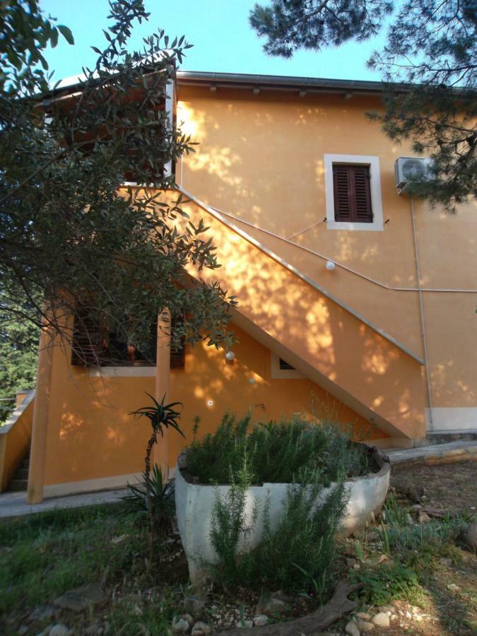 נזרין Hodak Apartment מראה חיצוני תמונה