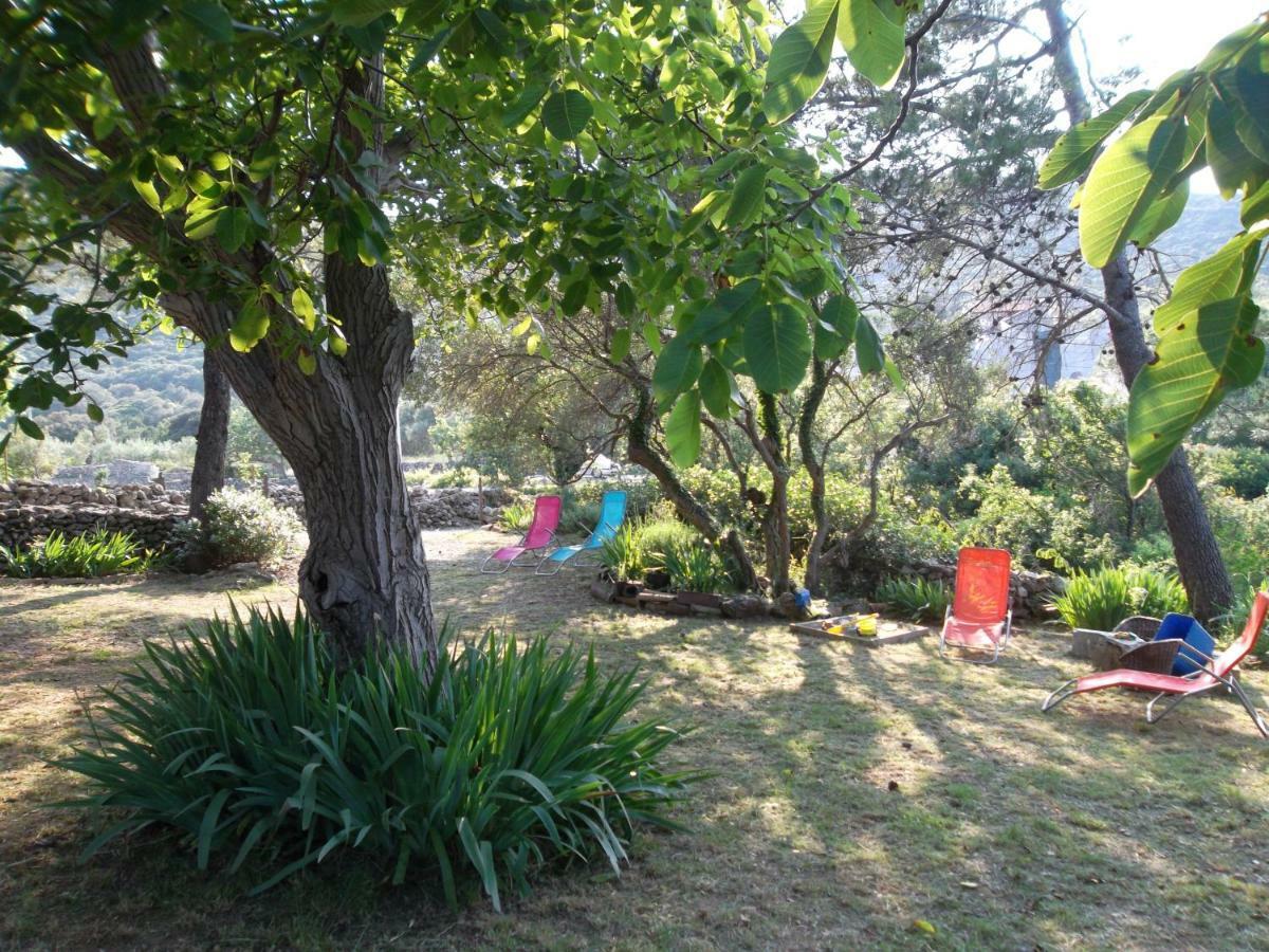 נזרין Hodak Apartment מראה חיצוני תמונה