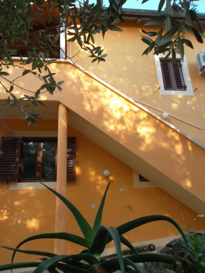 נזרין Hodak Apartment מראה חיצוני תמונה