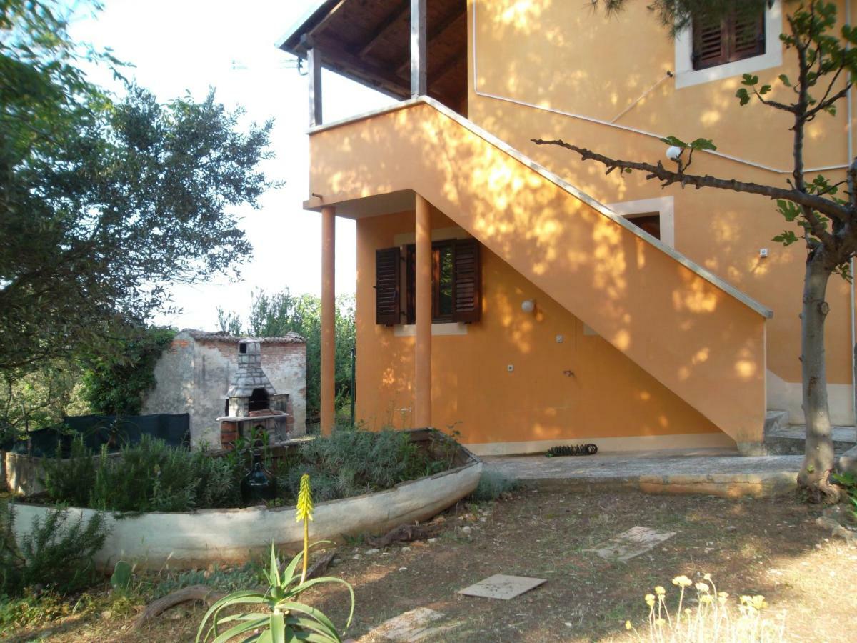 נזרין Hodak Apartment מראה חיצוני תמונה